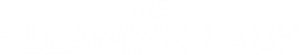 The Cleaning Lady